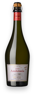 Combo Chardonnay